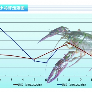 С���r�����r������(y��ng)�������ٴλ𱬡�����ˮ�a(ch��n)ǰ�ء�2021��8�¿��Ј�(ch��ng)څ��(sh��)