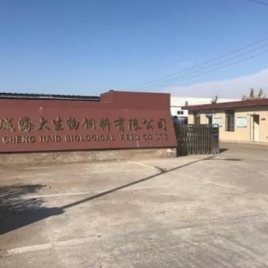 �AӋ����N�����f�����K�r�������͌�