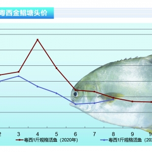 ���K�~������+���~���У��~�r���m�µ�������ˮ�aǰ�ء�2021��9�¿��Ј�څ��