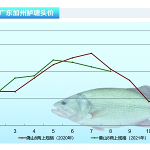 �����|�������������Ԉ�ͦ��������r����������ˮ�aǰ�ء�2021��9�¿��Ј�څ��