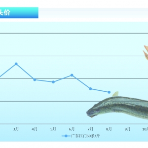 ���q������ƣܛ���������gС�����hС�~���ߡ�����ˮ�aǰ�ء�2021��9�¿��Ј�څ��