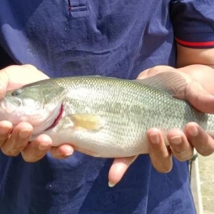 �����|��ô�B���ܸ�ٍ�X��