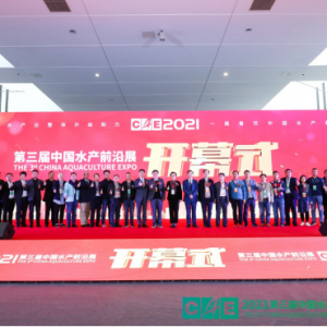 CAE 2021�_Ļʽ|��˼���҂������Ї�ˮ�a�I�����w�D��������������ؕ�I