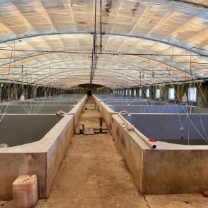 ����ɹ����a(ch��n)��30��/m3�����ܵ��B(y��ng)�r������һ��