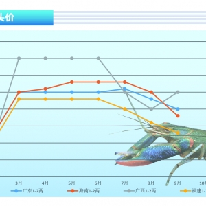 ���޵�ˮ���r�������ˬ�а������鲻�q����������ˮ�a(ch��n)ǰ�ء�2021��10�¿��Ј�څ��