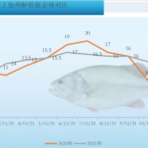 �����|�������B(y��ng)���^���������飬���t���~(y��)