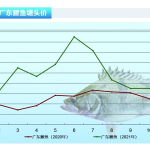 �Z�~�����c��r��һ���ٴ�����������ˮ�a(ch��n)ǰ�ء�2021��11�¿��Ј�څ��