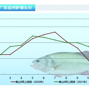 �����|�����w�������У����~��Ȼ�܌�������ˮ�aǰ�ء�2021��11�¿��Ј�څ��