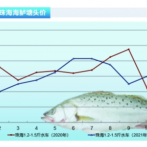 ���|���д�Ҏ���~���F����ȱ؛���r�����{������ˮ�aǰ�ء�2021��11�¿��Ј�څ��