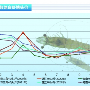 ���r���_�L����՚��p�A�����r�r�q���l��������ˮ�aǰ�ء�2021��12�¿��Ј�څ��