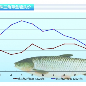 ���~���B(y��ng)ֳ�ɱ����m(x��)������ϧ�۴��r�Љ���������ˮ�a(ch��n)ǰ�ء�2021��12�¿��Ј�څ��