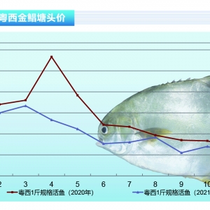 ���K�~��������m�ϝq����ߝq1Ԫ/�����ˮ�aǰ�ء�2021��12�¿��Ј�څ��