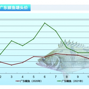 �Z�~����(chu��ng)�������vʷͬ�ڃr���¸ߡ�����ˮ�a(ch��n)ǰ�ء�2021��12�¿��Ј�څ��