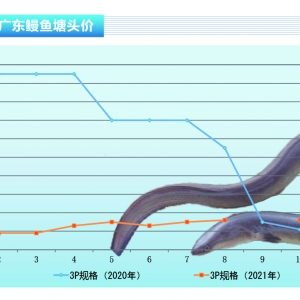 ���~������Ј��ձ����q���^�󡪡���ˮ�aǰ�ء�2021��12�¿��Ј�څ��