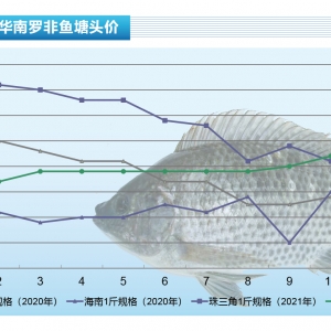 �_���~���I��ϧ����СҎ�����B�����~�ȃr������ˮ�aǰ�ء�2022��1�¿��Ј�څ��