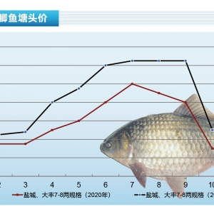 �a�~(y��)���������������п��q������ˮ�a(ch��n)ǰ�ء�2022��1�¿��Ј�(ch��ng)څ��(sh��)