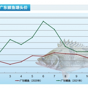 �Z�~����ʎ�������w�q4Ԫ/�����ˮ�a(ch��n)ǰ�ء�2022��1�¿��Ј�څ��