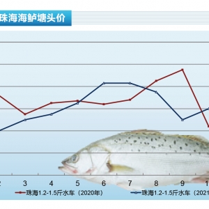 ���|�����w�����^�٣��r�������{������ˮ�aǰ�ء�2022��1�¿��Ј�څ��