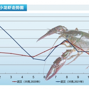 С���r��������r�����(hu��)�ã���(k��)�r����Ҳ�������ˮ�a(ch��n)ǰ�ء�2022��1�¿��Ј�(ch��ng)څ��(sh��)