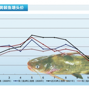 �S��~���q�����F����������������Ӱ푴󡪡���ˮ�aǰ�ء�2022��1�¿��Ј�څ��