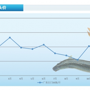 ���q���r�����������������u�����q�_�����衪����ˮ�aǰ�ء�2022��1�¿��Ј�څ��