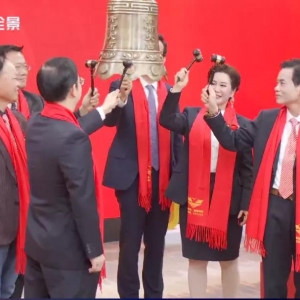 ������ϳɹ��������У���Ʊ���a001313