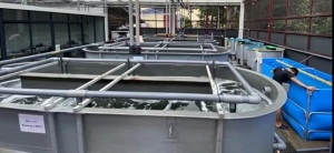 �������B�r���ց��ˣ��Ј�Ŀ�����غ�����У�