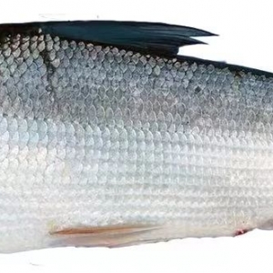 ���K����q�ߙn�~������ˮ�����B(y��ng)