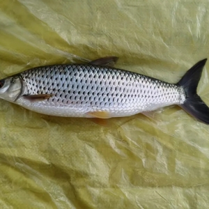 400Ԫ/��׃��ֻ���u5Ԫ��������ˮ�����̝�p�_30�f���ш󾯣�