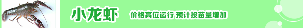 2014ˮ�a�N�紺��ُ�Nָ��