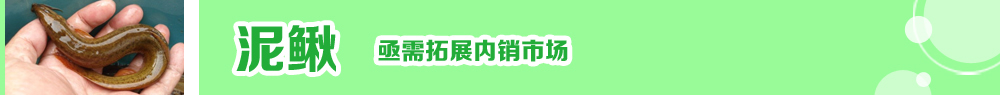 2014ˮ�a�N�紺��ُ�Nָ��