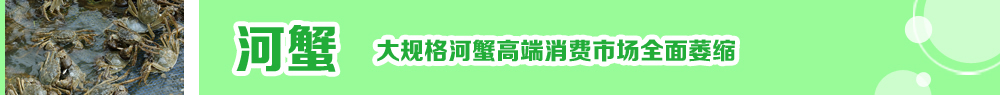 2014ˮ�a�N�紺��ُ�Nָ��