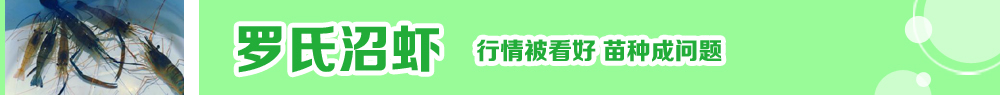 2014ˮ�a�N�紺��ُ�Nָ��