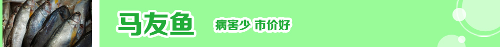 2014ˮ�a�N�紺��ُ�Nָ��