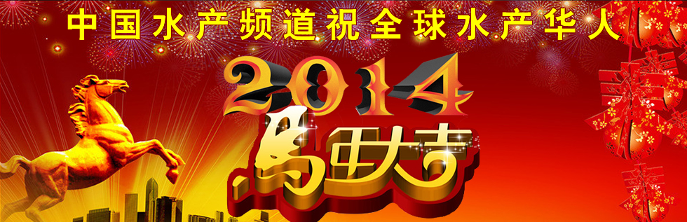 2014������ף�����}